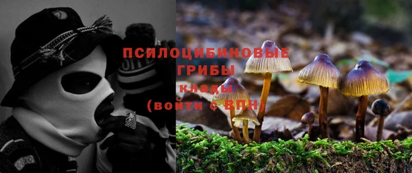 метадон Дедовск